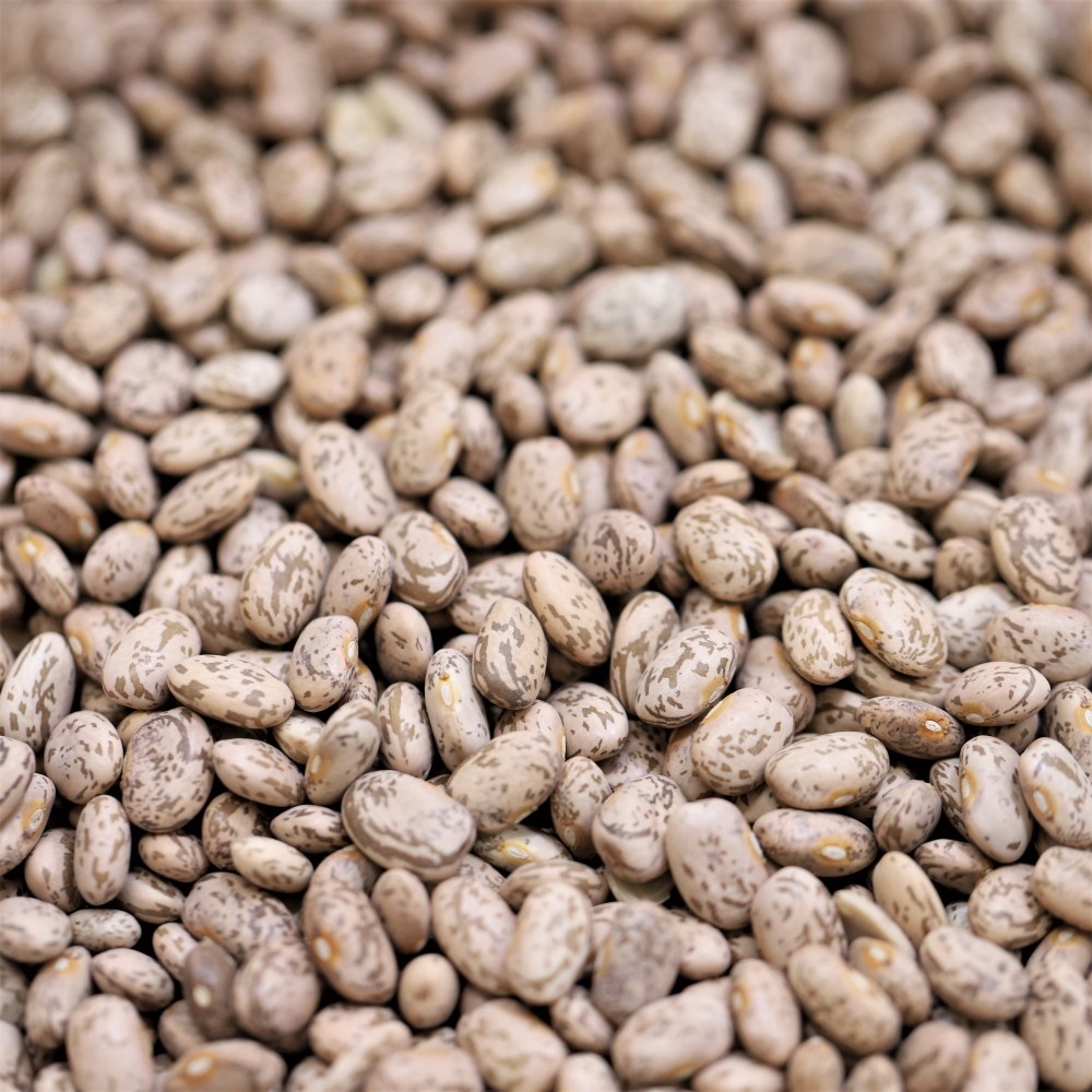pinto beans - 201