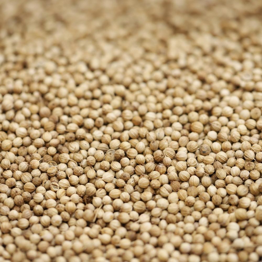 coriander seeds - 185