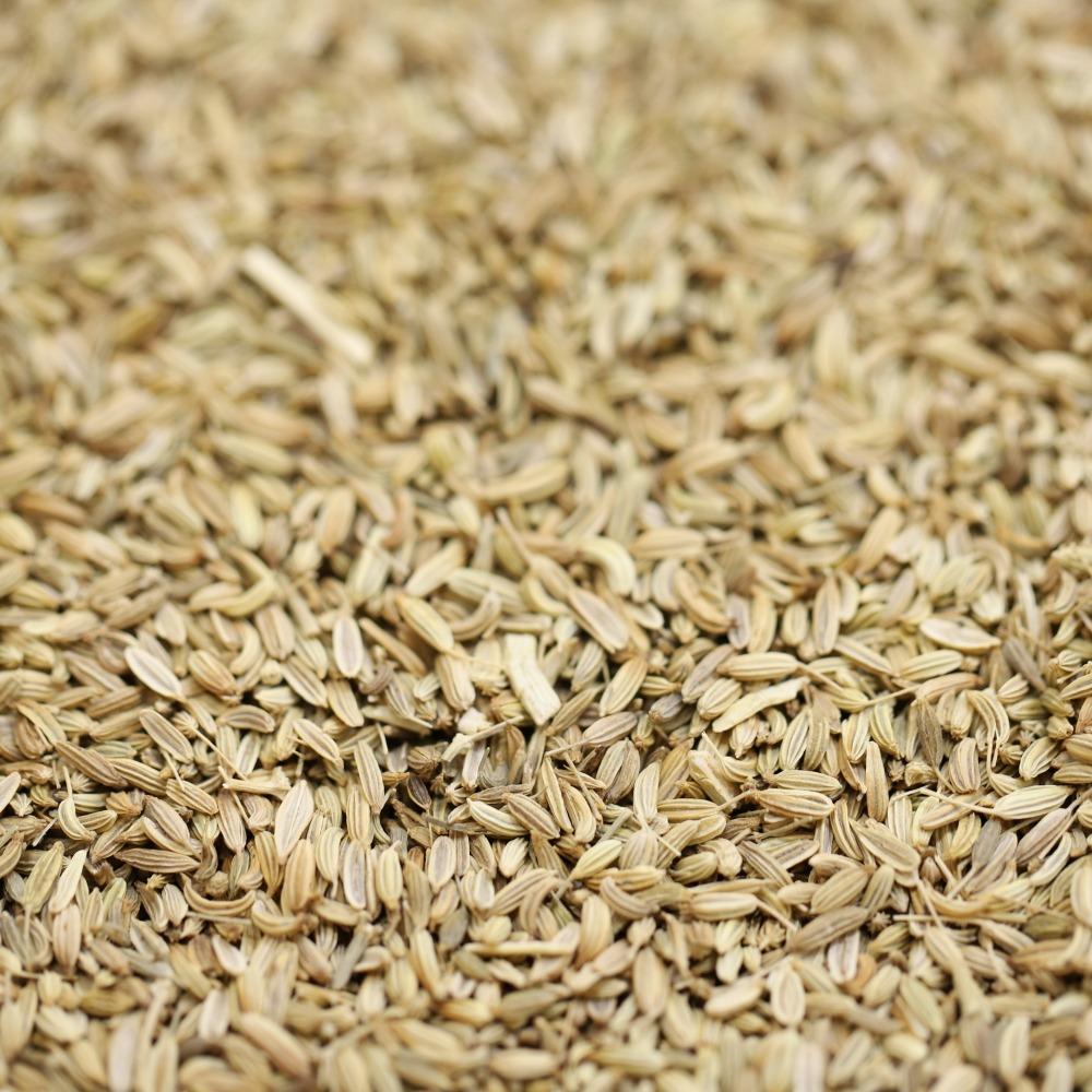 fennel seeds - 289