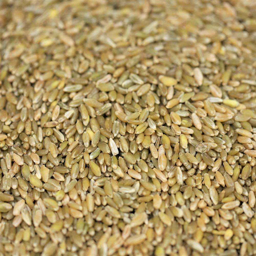 freekeh - 233