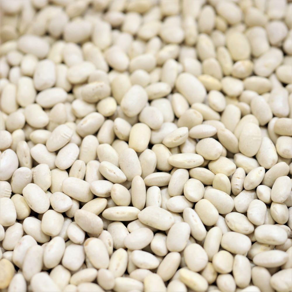 cannellini beans - 302