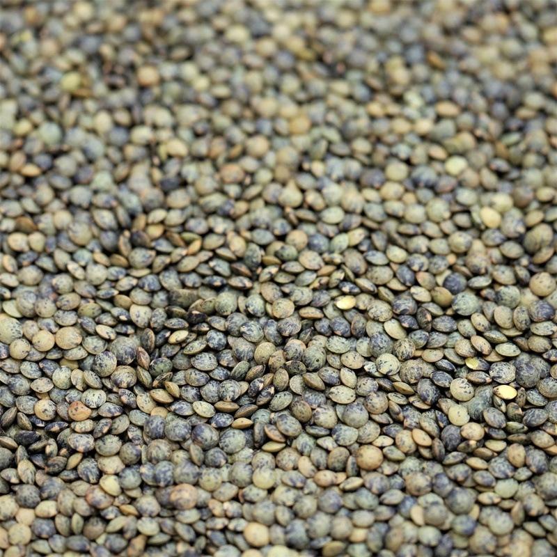 french puy lentils - 208