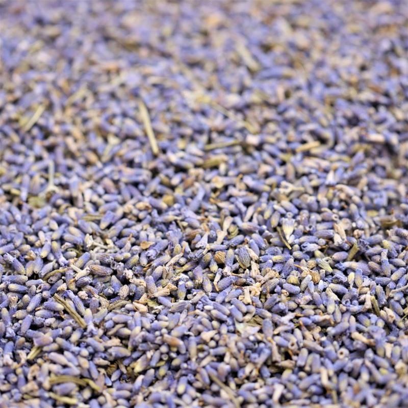 Tasmanian lavender petals - 409