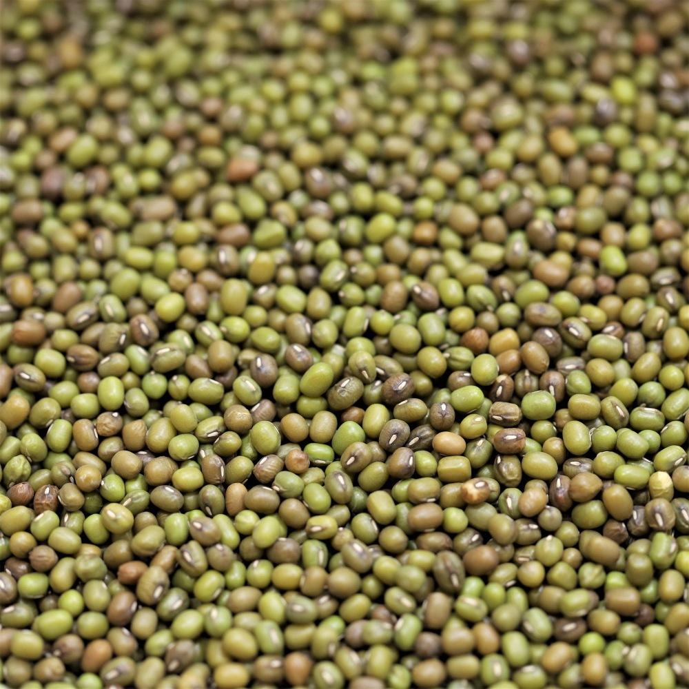 mung beans - 308