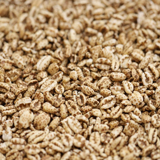 organic puffed spelt - 351