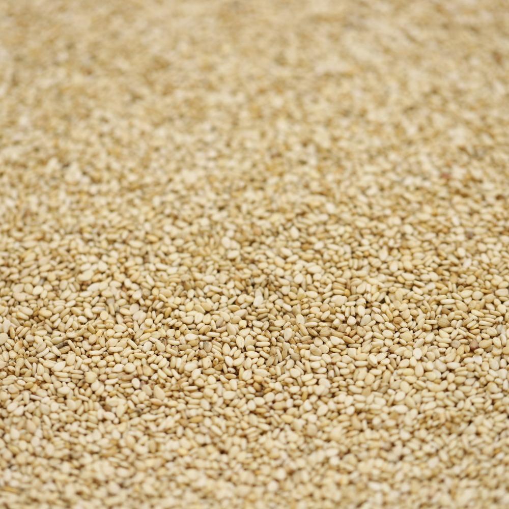 organic sesame seeds unhulled - 103