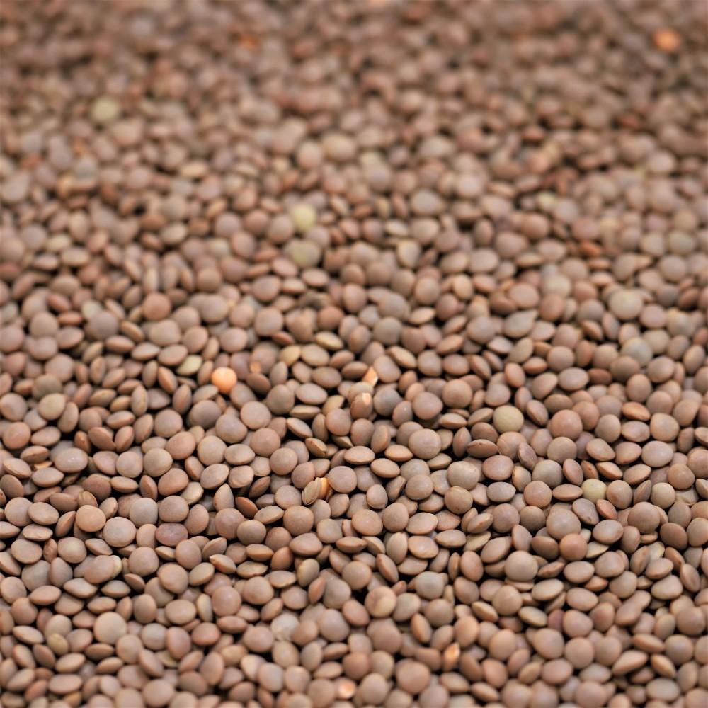 red lentils whole - 105