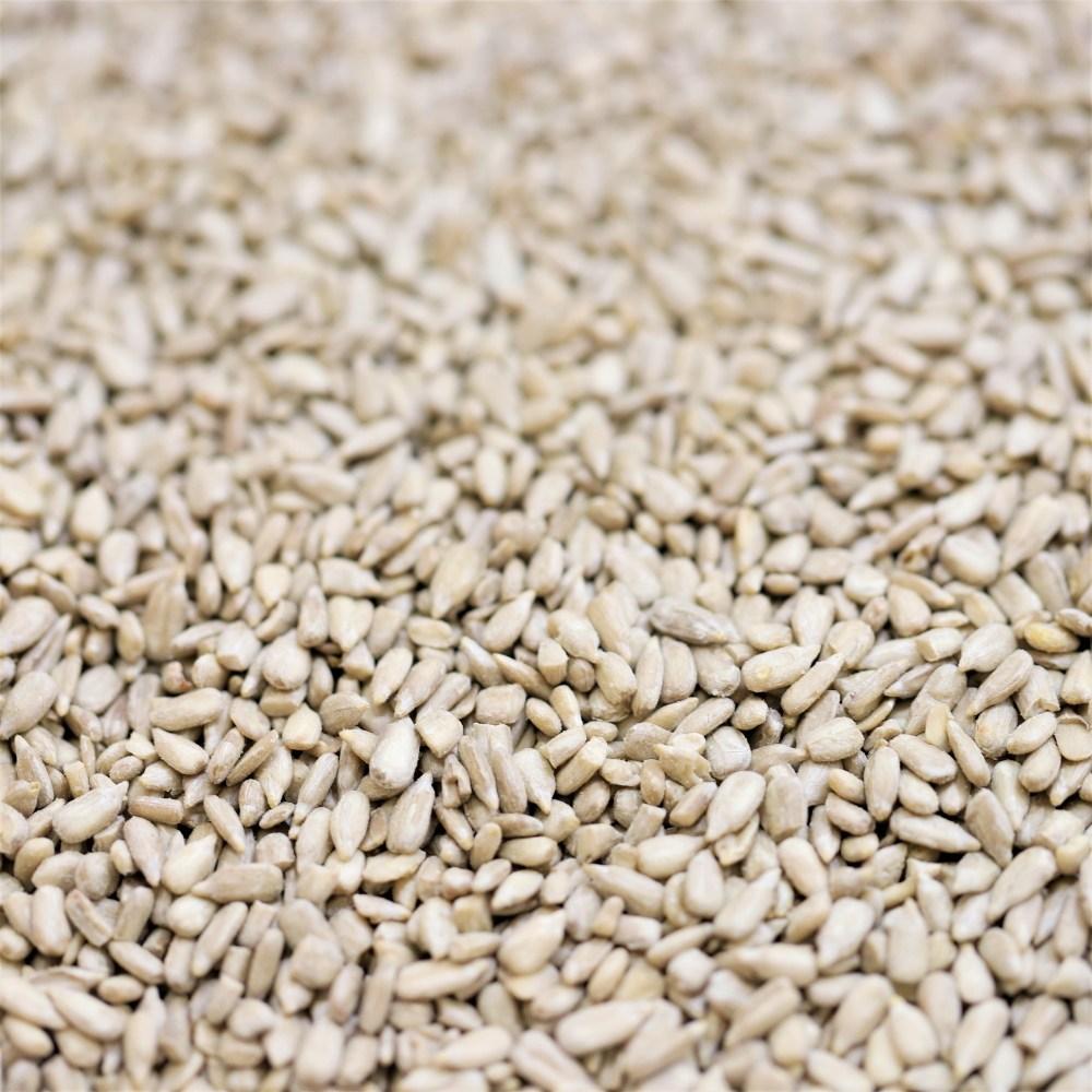 sunflower seeds australian - 509
