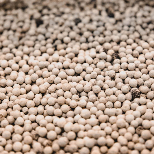 white peppercorns - 184