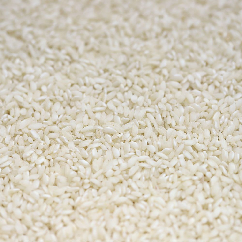 sushi rice - 491