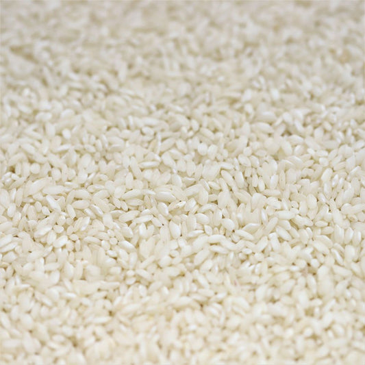 sushi rice - 491