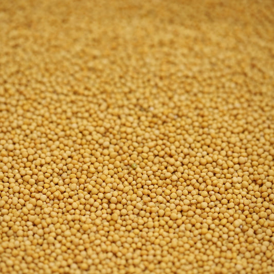 yellow mustard seeds - 287