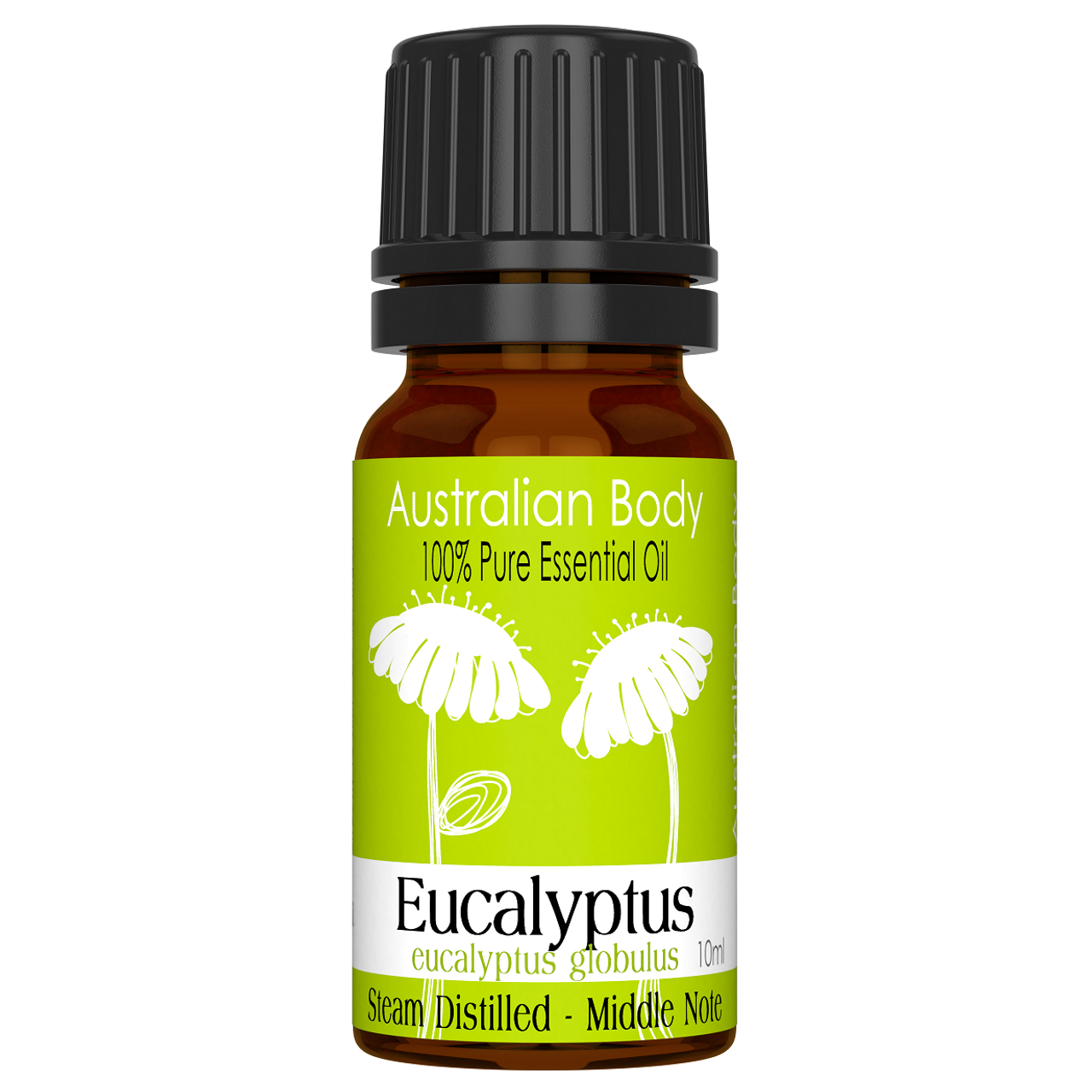 eucalyptus essential oil 10ml