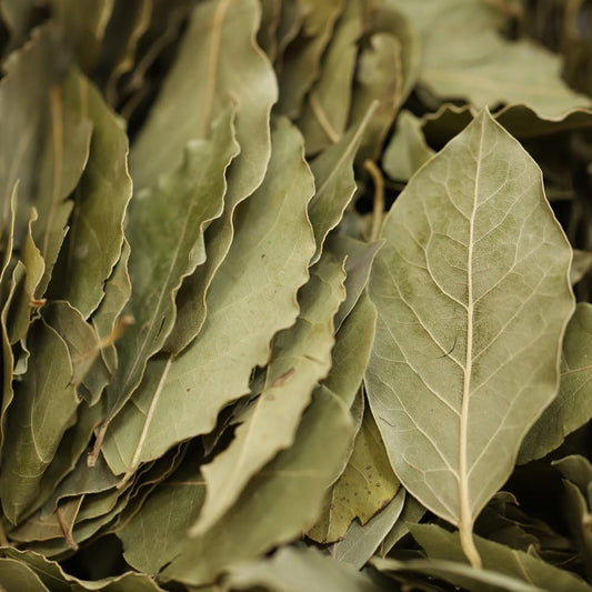 bay leaves - 290
