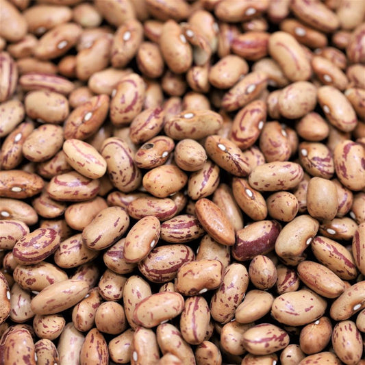 borlotti beans - 304