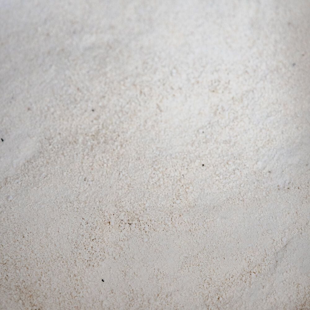 cassava flour - 581