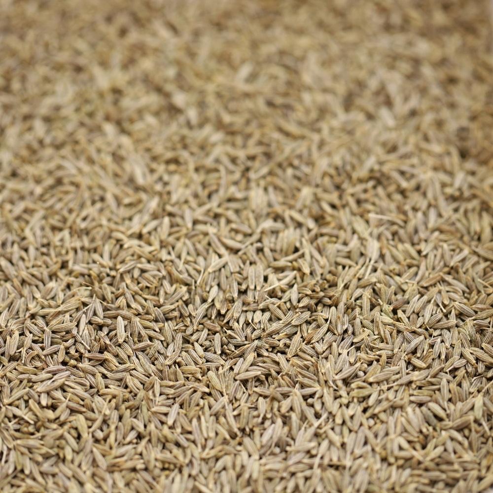 cumin seeds - 288