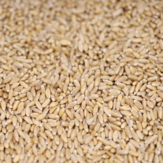 farro - 330