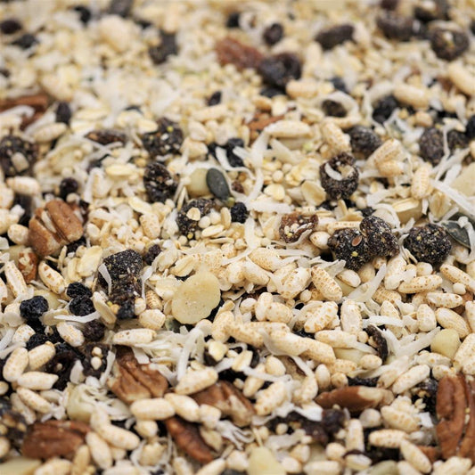 low fodmap and low gi muesli - 642