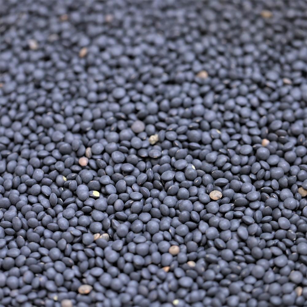 organic black beluga lentils - 240