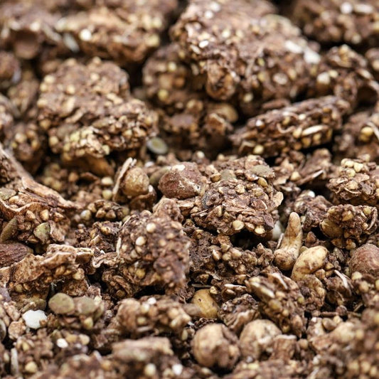 organic cacao hazelnut clusters - 622
