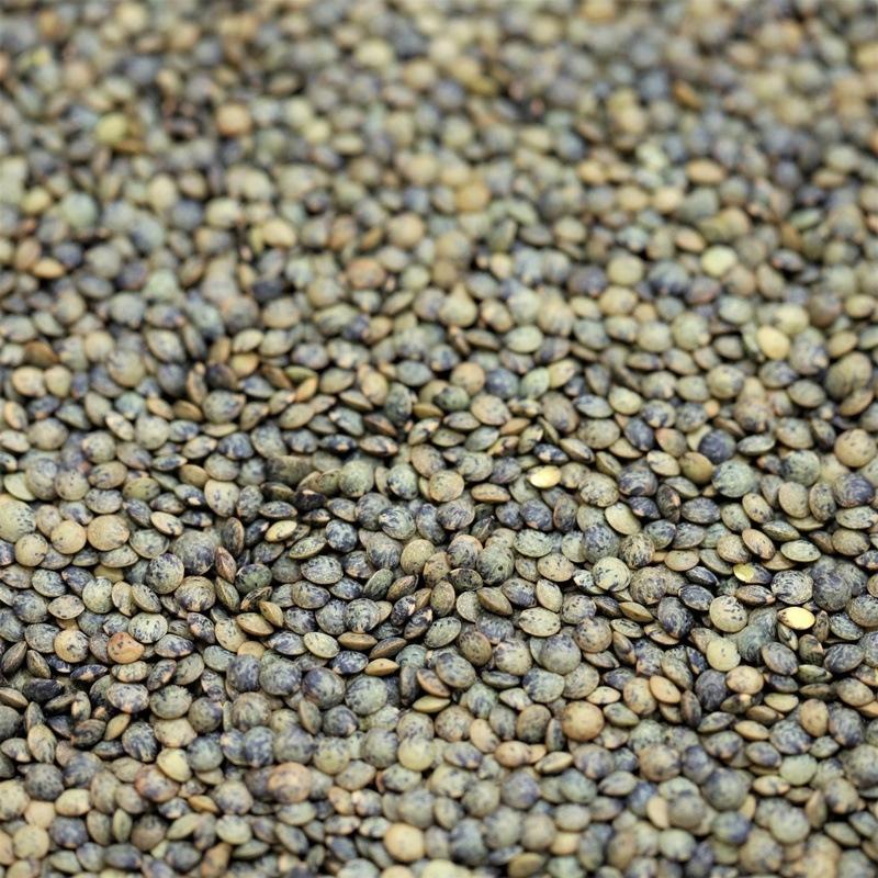 organic french puy lentils - 208