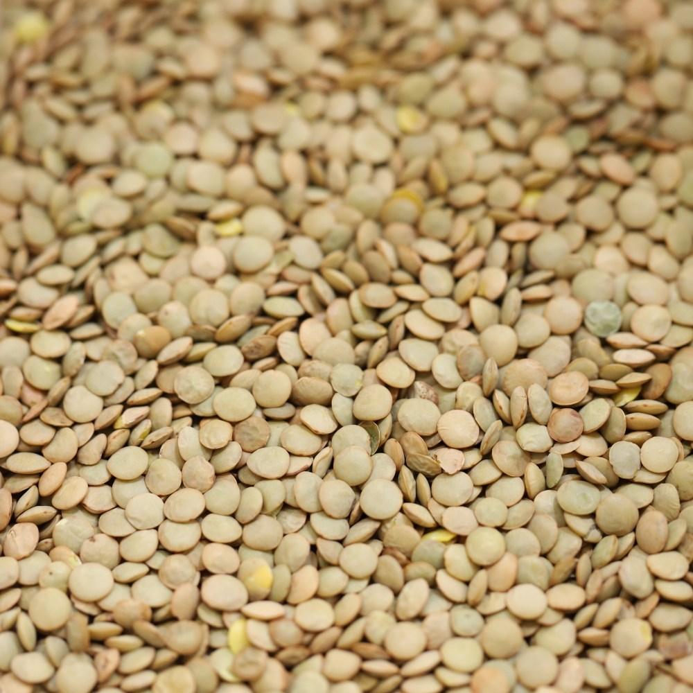 organic green lentils - 209