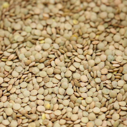 green lentils - 209