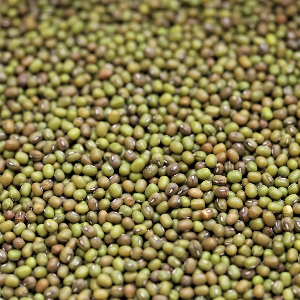 organic mung beans - 308