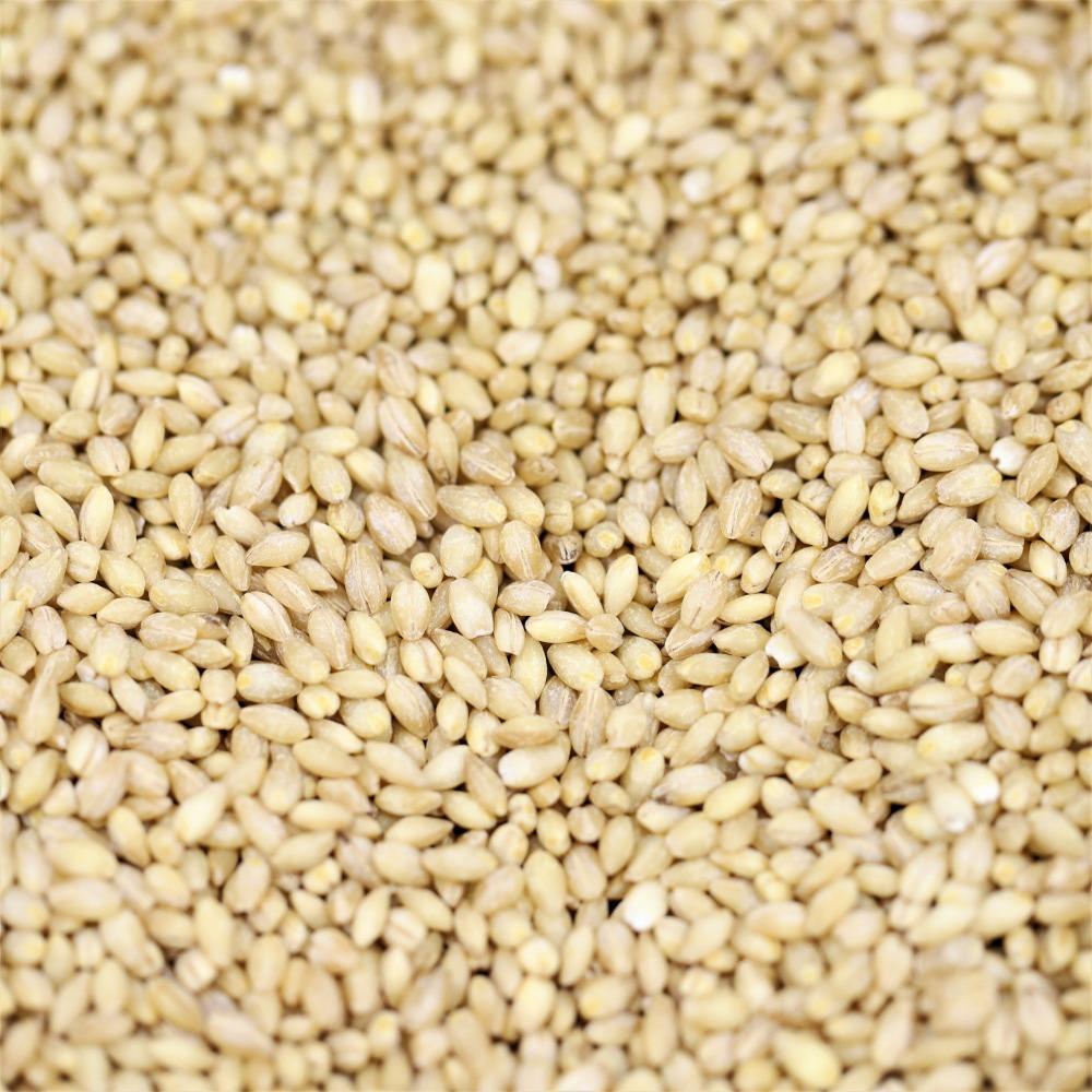 organic pearl barley - 328