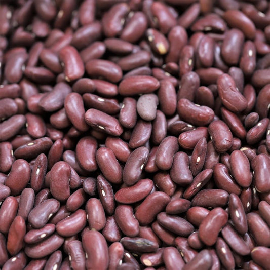 organic red kidney beans - 301