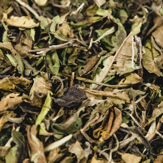 organic white pai mu dan tea - 621