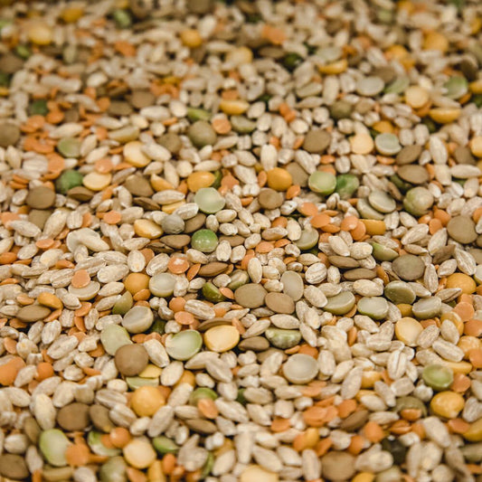 organic soup mix - 205